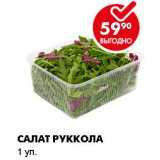 САЛАТ РУККОЛА