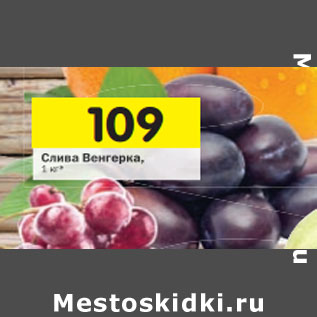 Акция - Слива венгерка