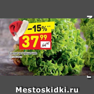 Акция - Салат в горшочке уп