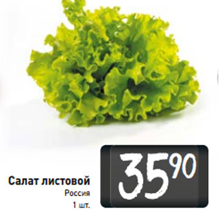 Акция - Салат листовой Россия
