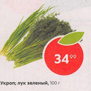 Акция - Укроп; лук зеленый