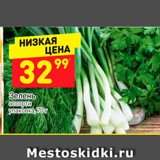Акция - Зелень ассорти уп.