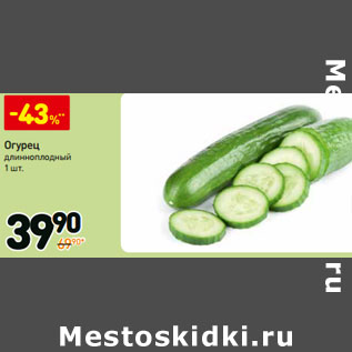 Акция - Огурец длинноплодный