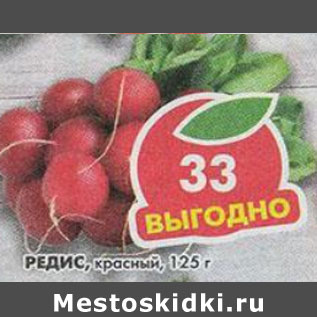 Акция - Редис красный