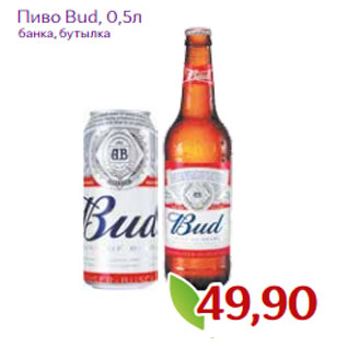 Акция - Пиво Bud, 0,5л банка, бутылка