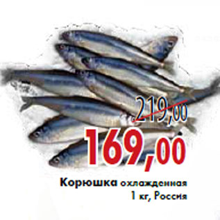 Акция - Корюшка охлажденная 1 кг, Россия