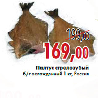 Акция - Палтус стрелозубый б/г охлажденный 1 кг, Россия