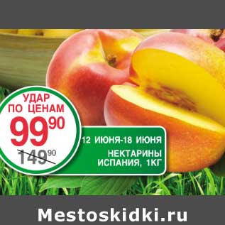 Акция - Нектарины
