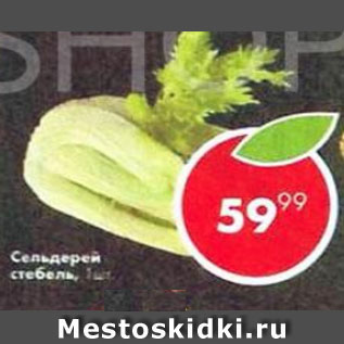 Акция - сельдерей стебель