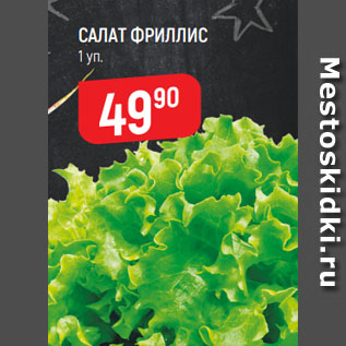 Акция - САЛАТ ФРИЛЛИС