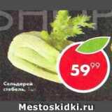 Пятёрочка Акции - сельдерей стебель