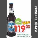 Магазин:Перекрёсток,Скидка:Пиво Harp Lager светлое 4%