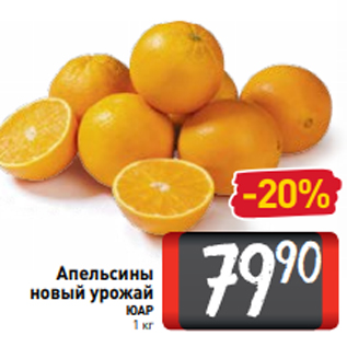 Акция - Апельсины новый урожай ЮАР 1 кг