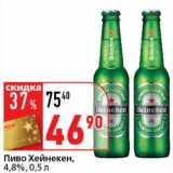 Пиво Хейнекен, 4,8%