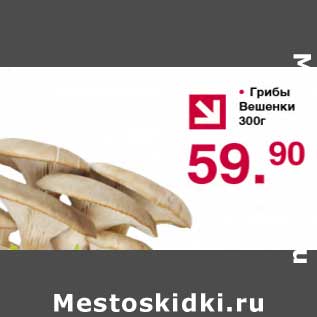 Акция - Грибы Вешенки