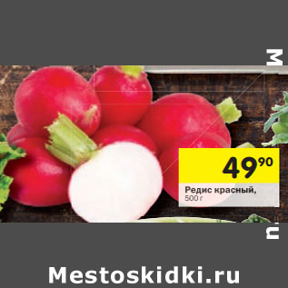 Акция - Редис красный