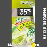 Магазин:Билла,Скидка:Салат листовой АК Московский Россия