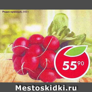 Акция - Редис красный