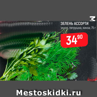 Акция - Зелень ассорти