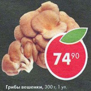 Акция - Грибы Вешенки