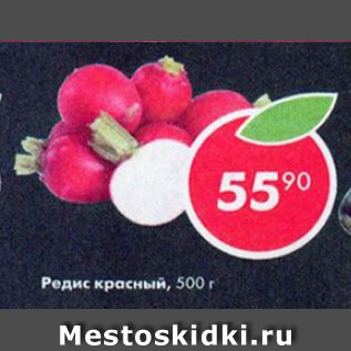 Акция - Редис красный