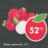 Магазин:Пятёрочка,Скидка:Редис красный
