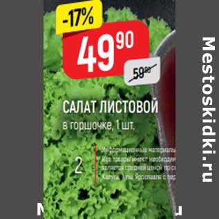 Акция - Салат листовой