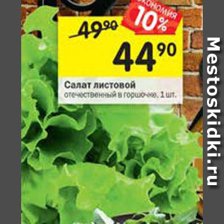 Акция - Салат листовой