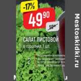 Магазин:Верный,Скидка:Салат листовой 
