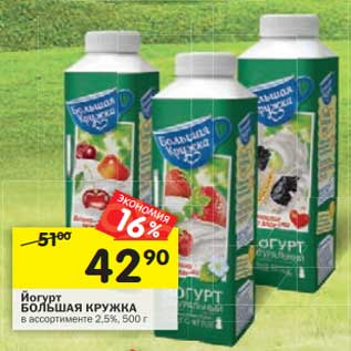 Акция - Йогурт Большая Кружка 2,5%