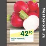 Магазин:Перекрёсток,Скидка:Редис красный 