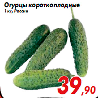 Акция - Огурцы короткоплодные 1 кг, Россия