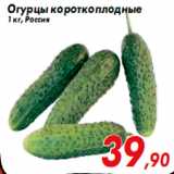 Огурцы короткоплодные
1 кг, Россия