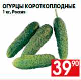 Магазин:Наш гипермаркет,Скидка:Огурцы короткоплодные
1 кг, Россия