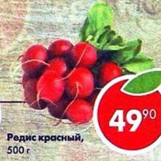 Акция - Редис красный