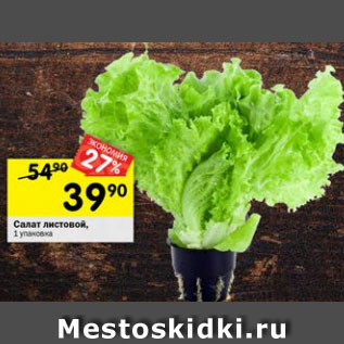 Акция - Салат Листовой 1 упаковка