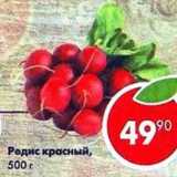 Магазин:Пятёрочка,Скидка:Редис красный 