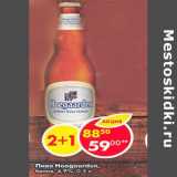 Магазин:Пятёрочка,Скидка:Пиво Hoegaarden 4.9%