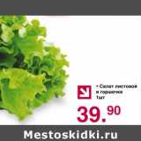 Магазин:Оливье,Скидка:Салат листовой в горшочке 