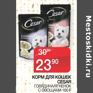 Акция - Корм для кошек Cesar