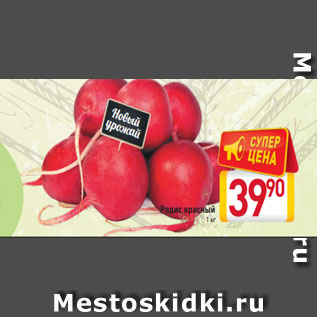 Акция - Редис красный 1 кг