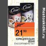 Наш гипермаркет Акции - Корм для кошек Cesar 