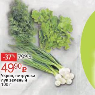 Акция - Укроп, петрушка лук зеленый 100 г