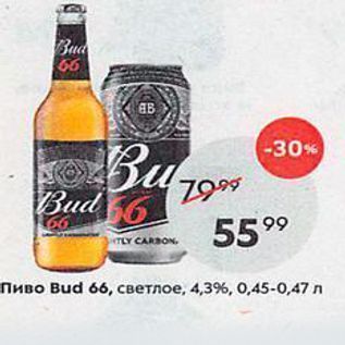 Акция - Пиво Bud 66