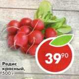 Редис красный 