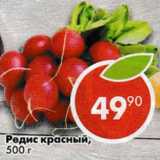 Магазин:Пятёрочка,Скидка:Редис красный 