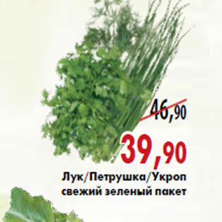 Акция - Лук/Петрушка/Укроп свежий зеленый пакет