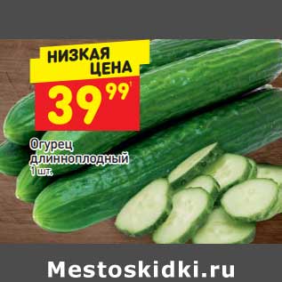 Акция - Огурец длинноплодный