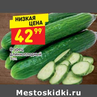 Акция - Огурец длинноплодный