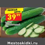 Магазин:Дикси,Скидка:Огурец длинноплодный 
